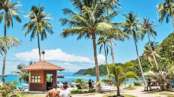 Palm-lined beach on an island in Ang Thong Marine Park near Koh Samui